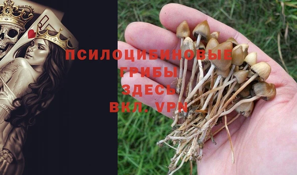 первитин Магас