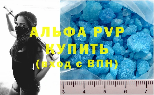 Альфа ПВП Магадан