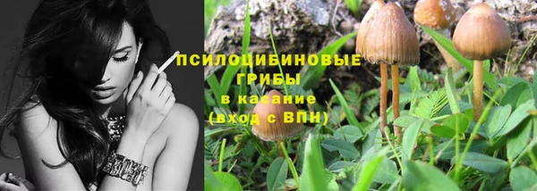 твердый Майский