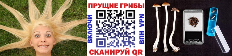 Купить где  Когалым  Псилоцибиновые грибы MAGIC MUSHROOMS 